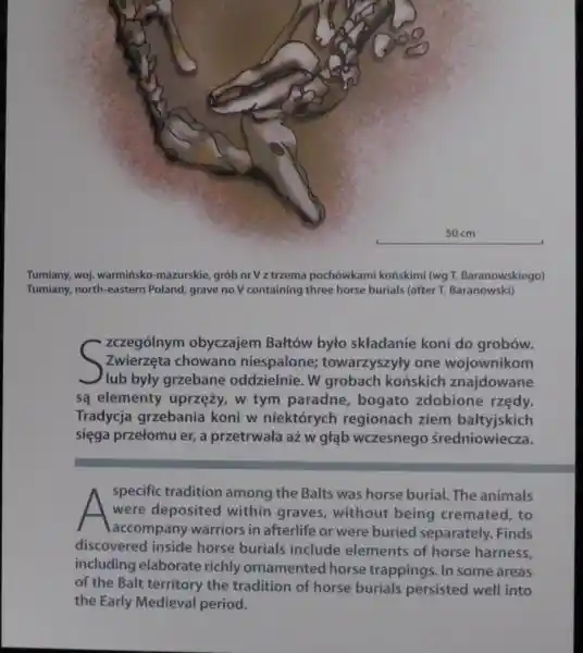 Horse burial tradition of Balts